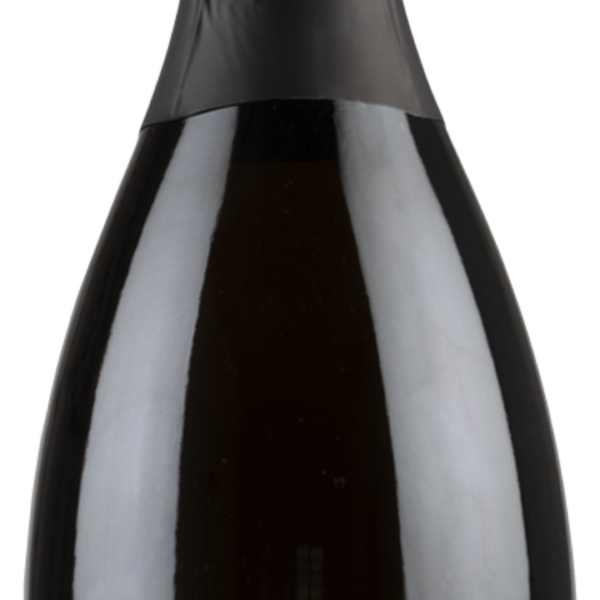 LE QUATTRO TERRE - Vino Spumante Brut - Metodo Martinotti/Charmat